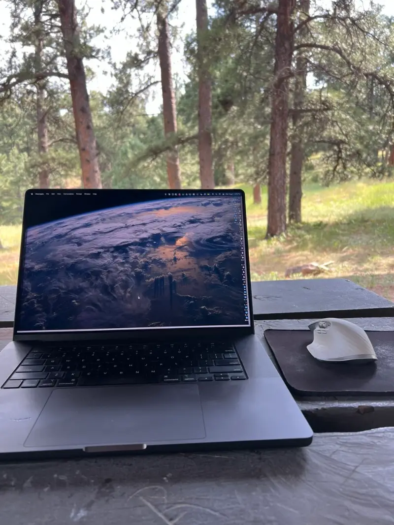 A laptop and mouse on a picnic table, looking out at pine trees and a meadow